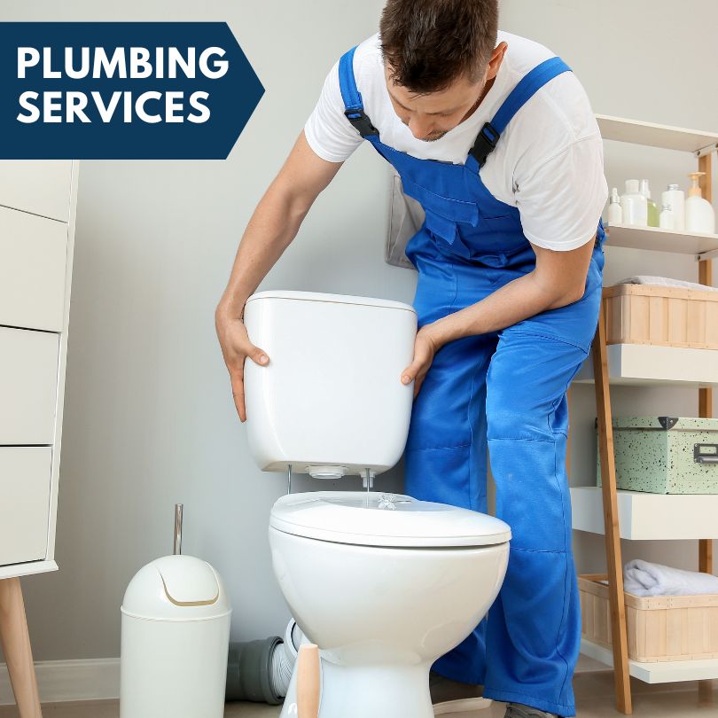 Plumbing Company in Vergennes, IL